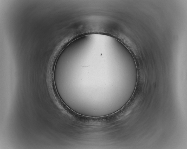 X0000115440625200911121124