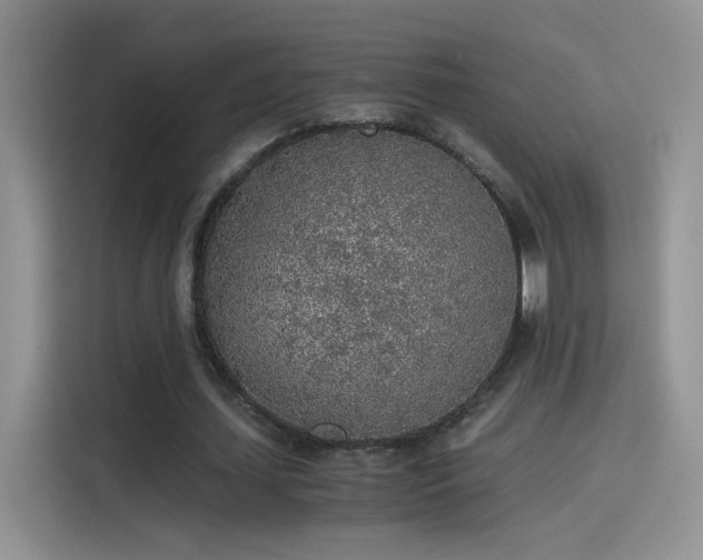 X0000115440627200911121124