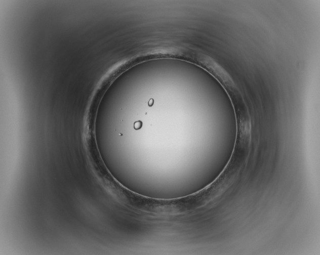 X0000115440628200911121124