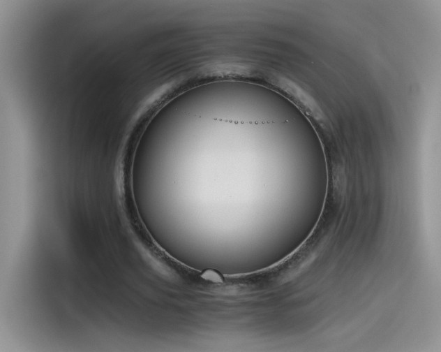 X0000115440629200911121124