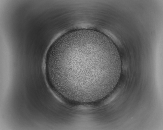 X0000115440630200911121124