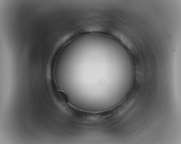 X0000115440631200911121124