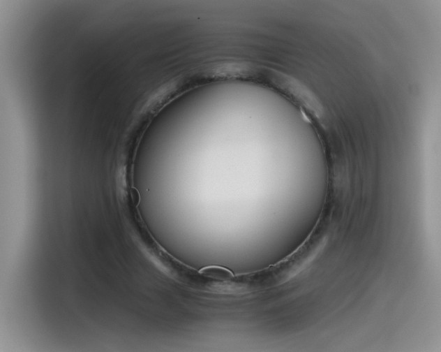 X0000115440633200911121124