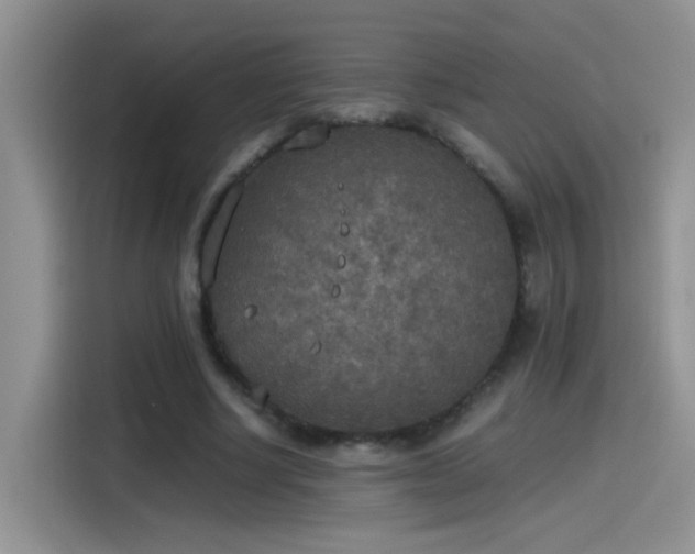 X0000115440634200911121124