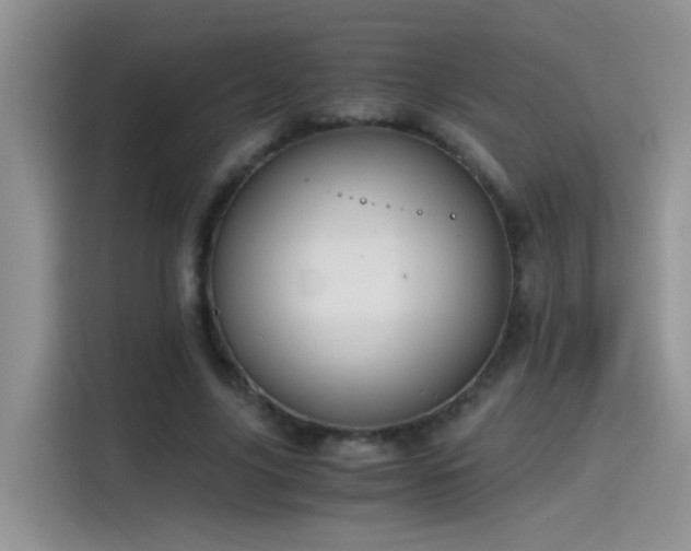 X0000115440635200911121124