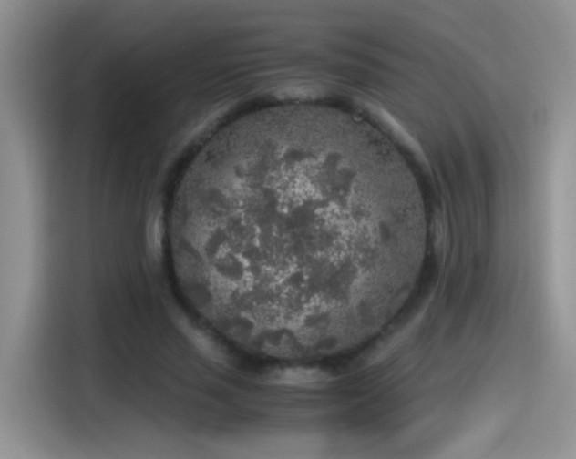 X0000115440637200911121124