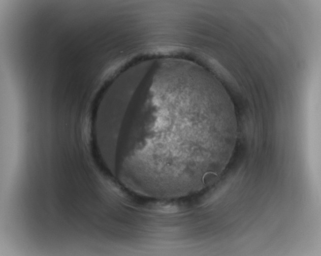X0000115440640200911121124