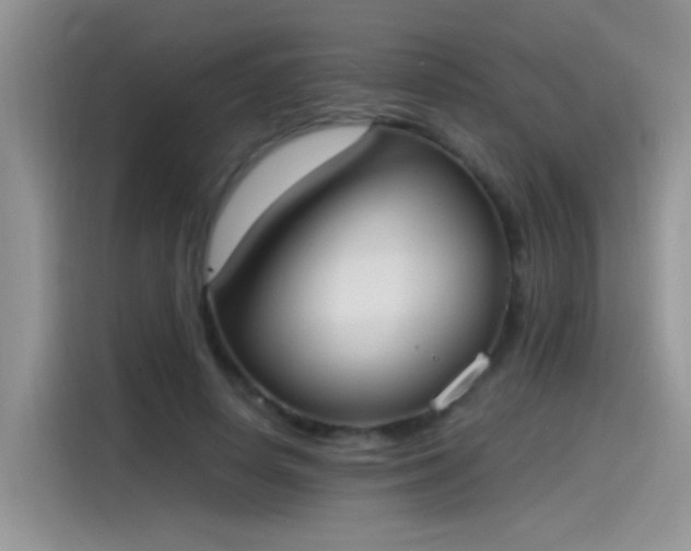 X0000115440642200911121124
