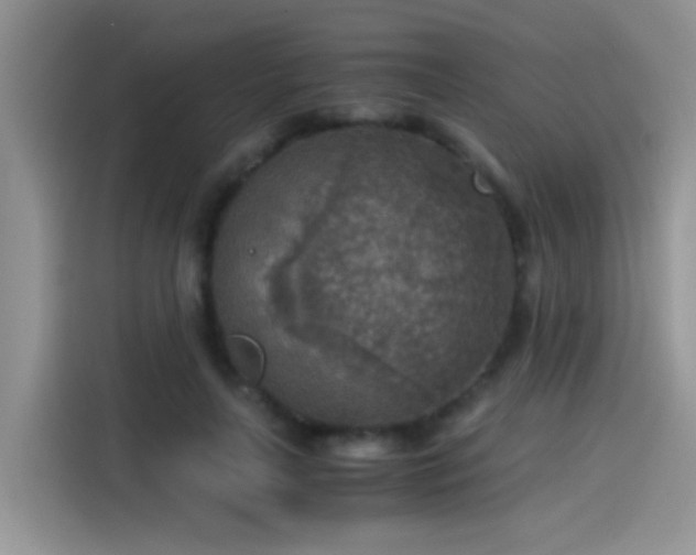 X0000115440643200911121124