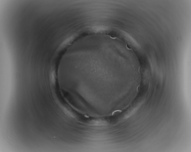 X0000115440644200911121124