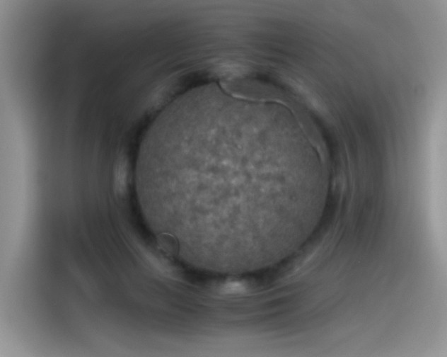 X0000115440647200911121124