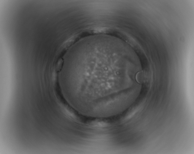 X0000115440648200911121124
