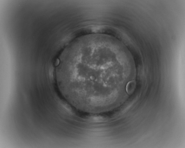 X0000115440650200911121124