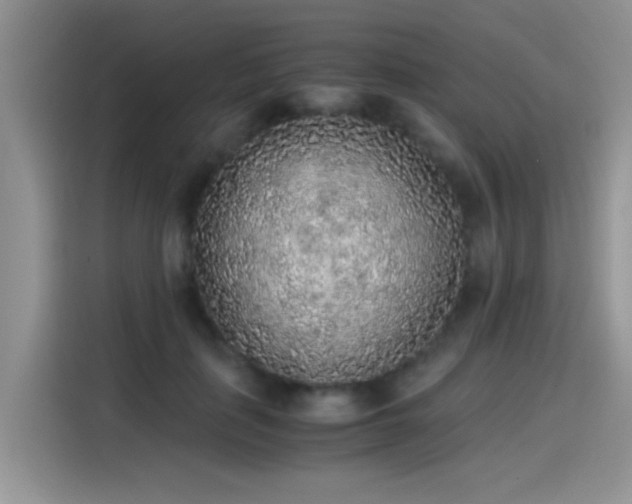 X0000115440651200911121124