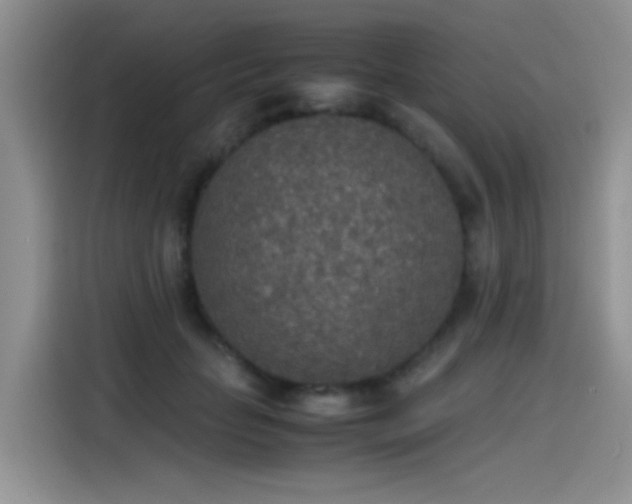 X0000115440653200911121124