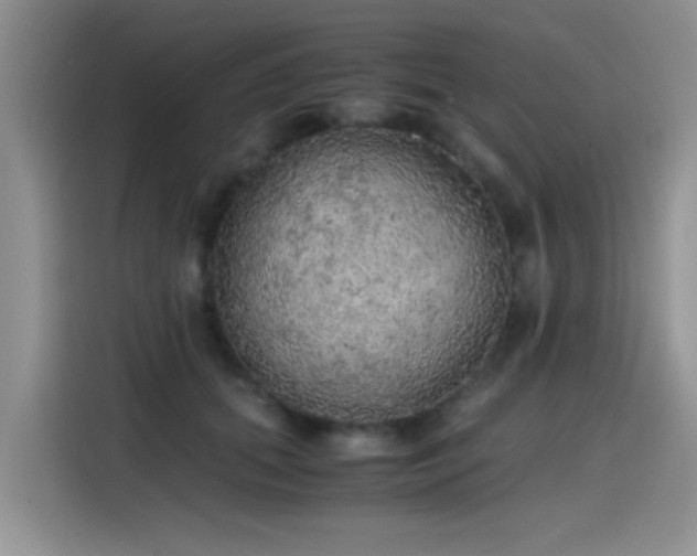 X0000115440655200911121124