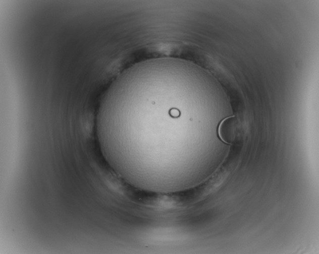 X0000115440656200911121124
