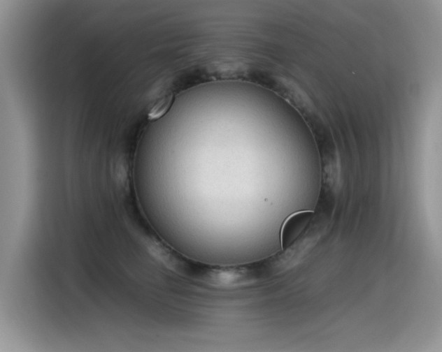 X0000115440662200911121124