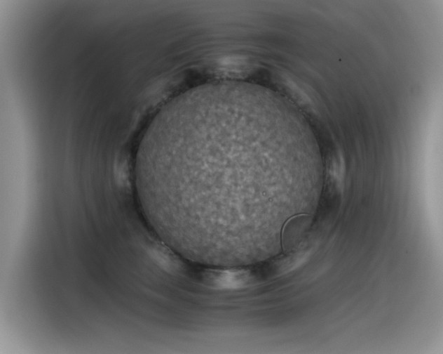 X0000115440663200911121124