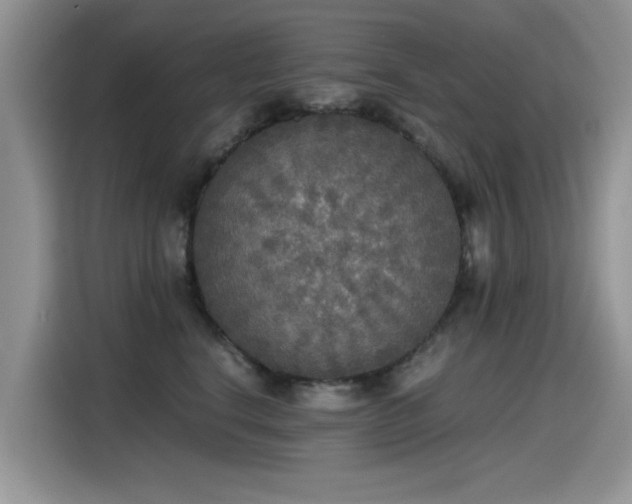 X0000115440664200911121124