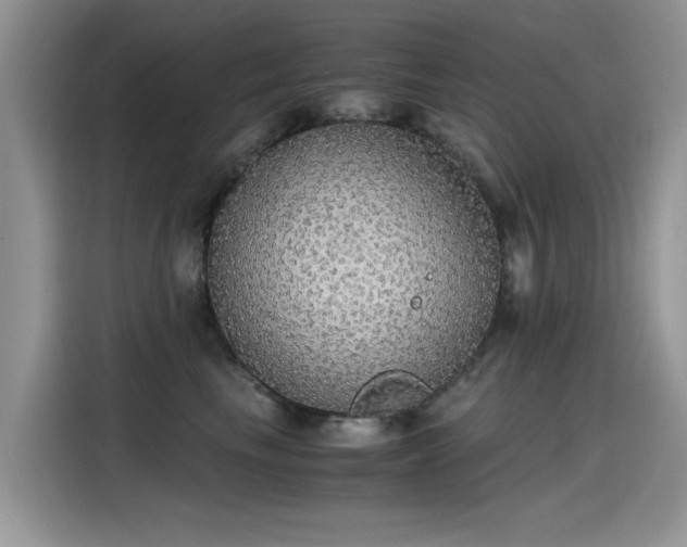 X0000115440665200911121124