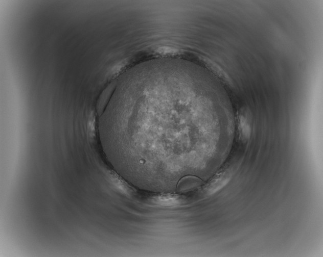 X0000115440668200911121124