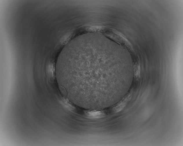 X0000115440669200911121124