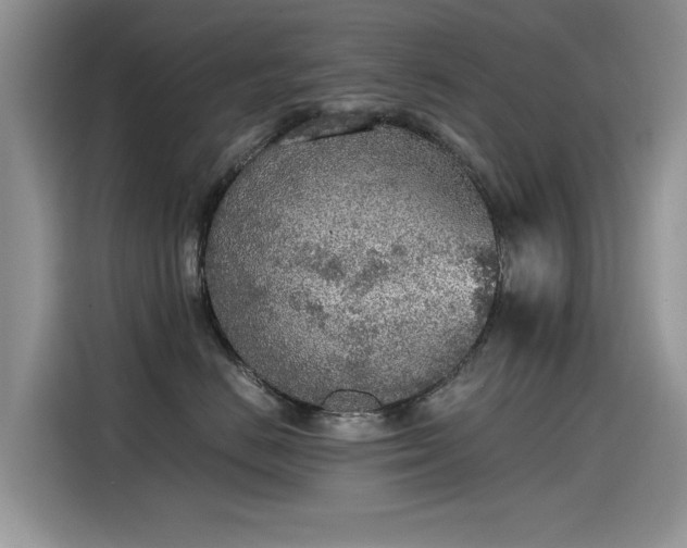 X0000115440670200911121124