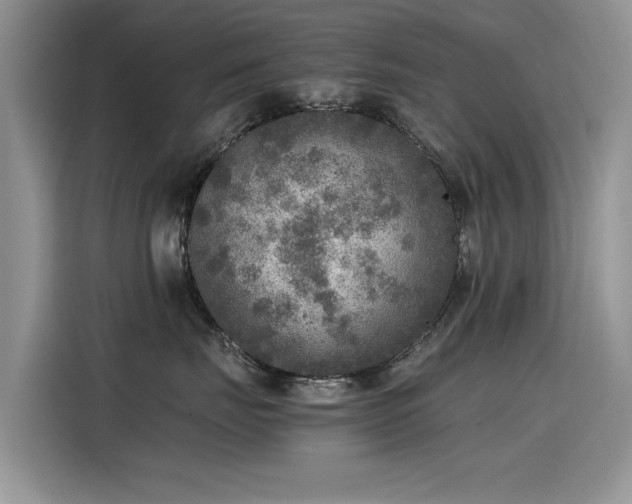 X0000115440671200911121124