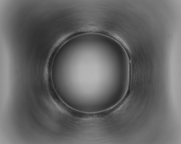 X0000115440674200911121124