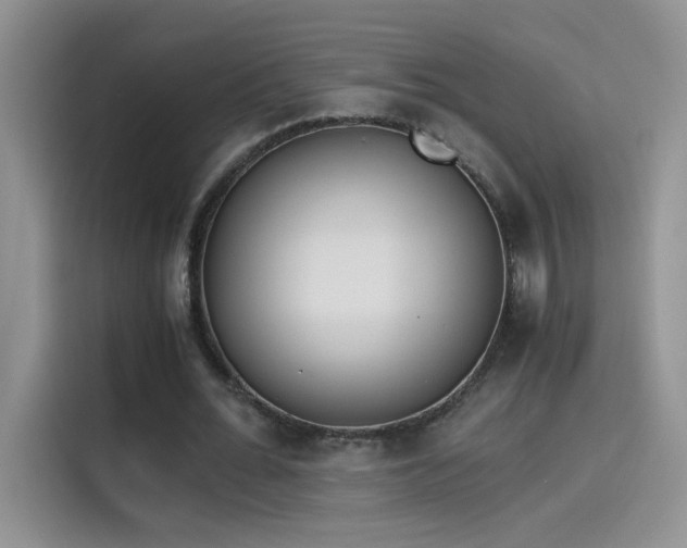 X0000115440676200911121124