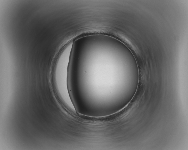 X0000115440677200911121124