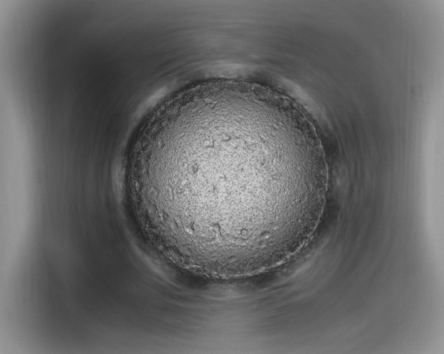 X0000115440679200911121124