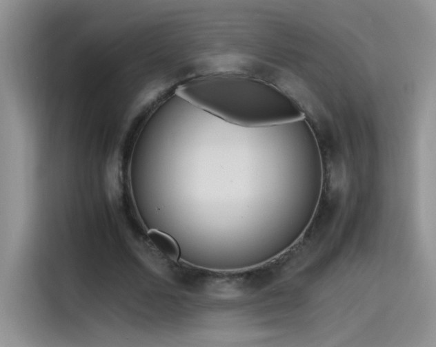 X0000115440680200911121124