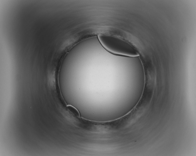 X0000115440681200911121124
