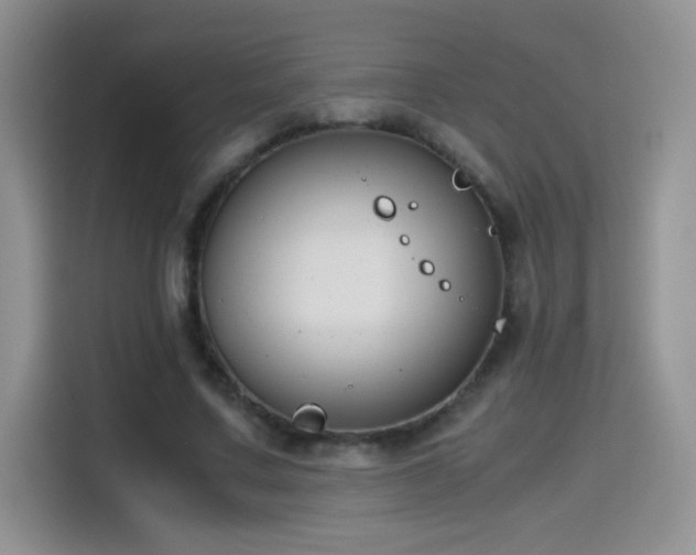X0000115440683200911121123