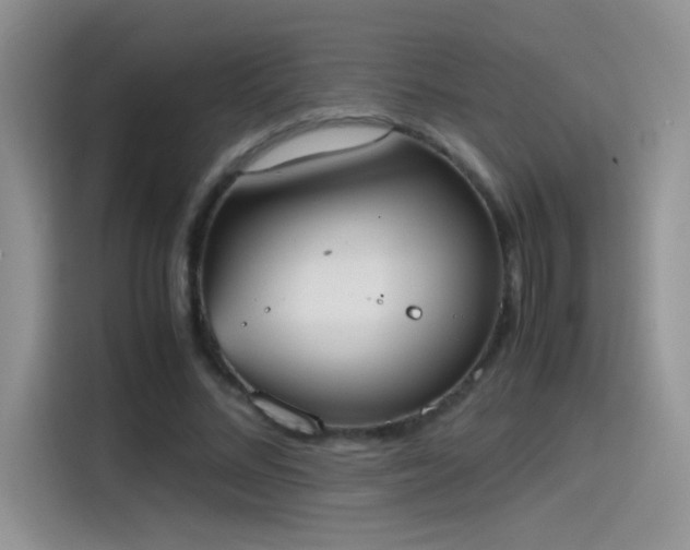 X0000115440684200911121123