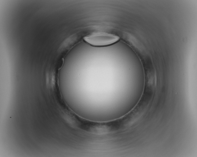 X0000115440685200911121123