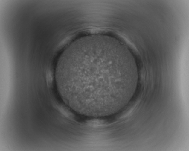 X0000115440691200911121123