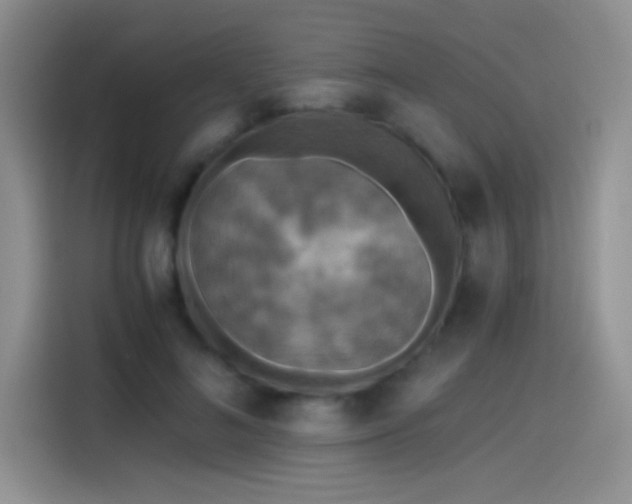 X0000115440692200911121123