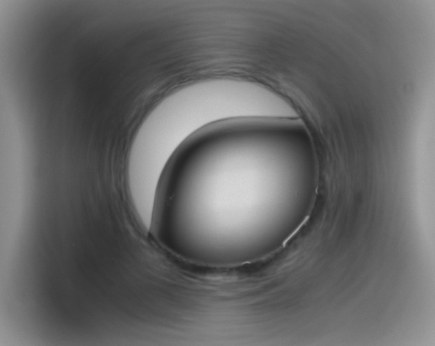 X0000115440693200911121123