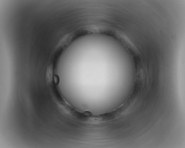 X0000115440694200911121123