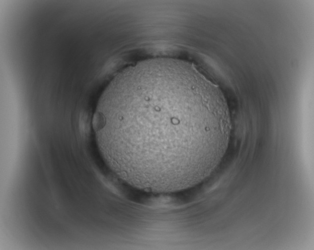 X0000115440695200911121123