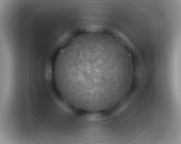 X0000115440696200911121123