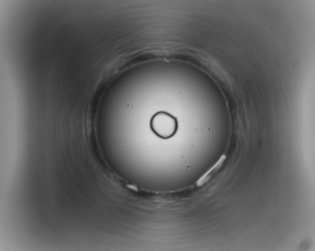 X0000115440697200911121123