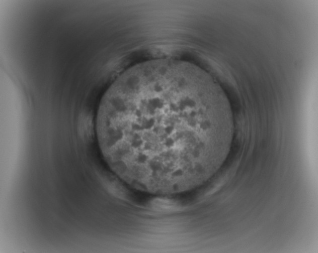 X0000115440699200911121123