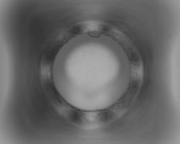 X0000115440701200911121123