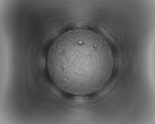 X0000115440703200911121123