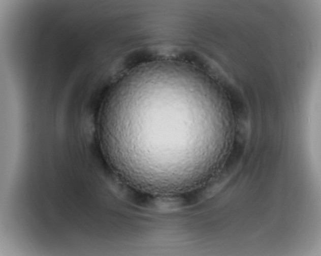 X0000115440707200911121123