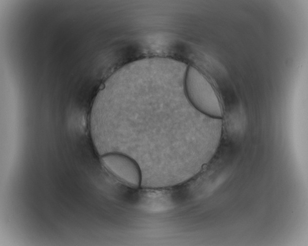 X0000115440709200911121123